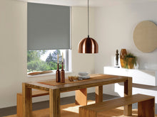 Load image into Gallery viewer, Roller Shades and Solar Shades, Parent Economy Basic Vinyl Blackout Roller Shades
