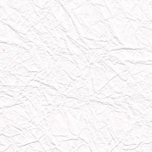 Evelyn Brite White - 3 1/2