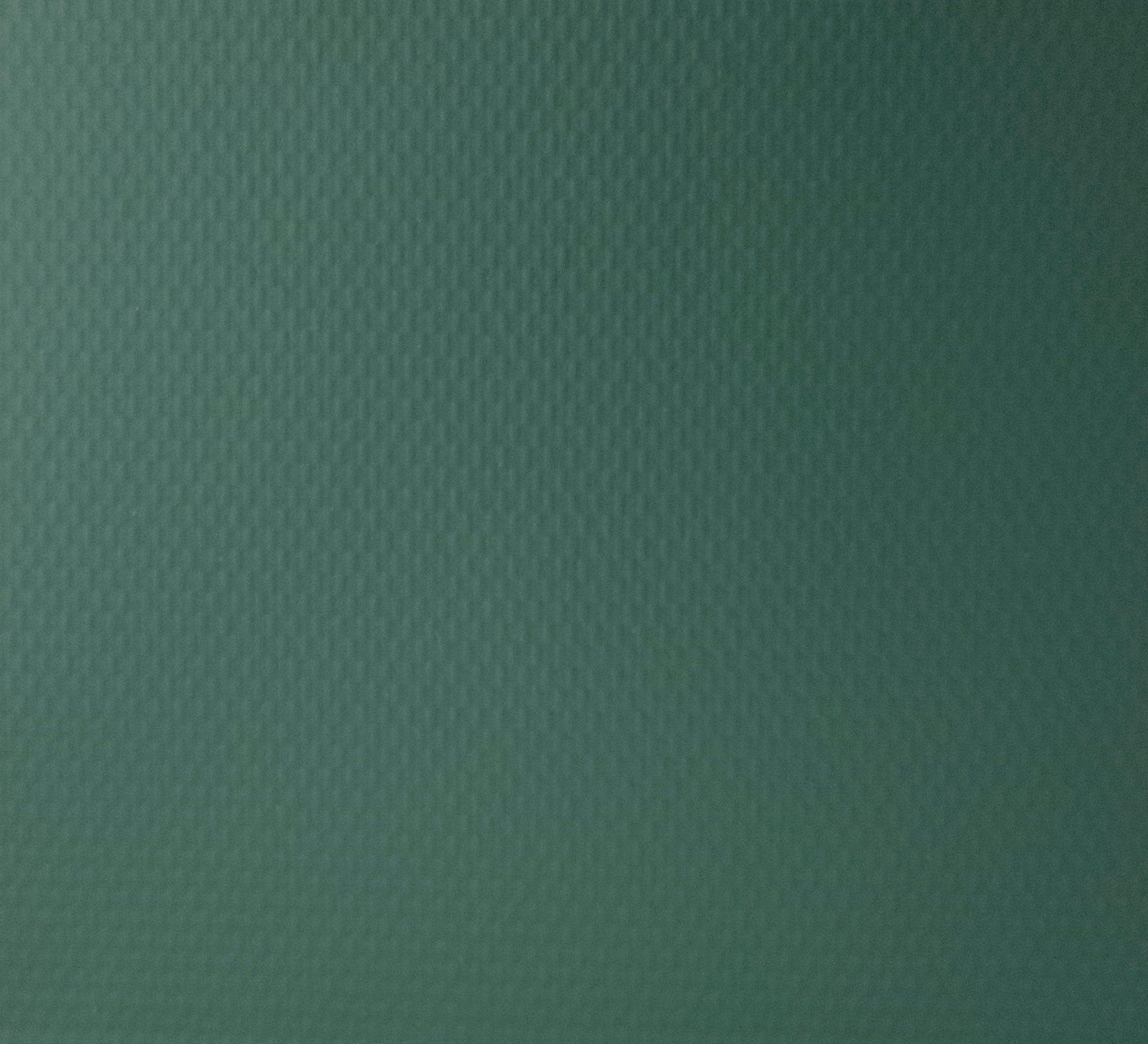 Hunter Green/White Backing EBV - Economy Basic Vinyl Blackout Roller Shades - Factory Direct Blinds