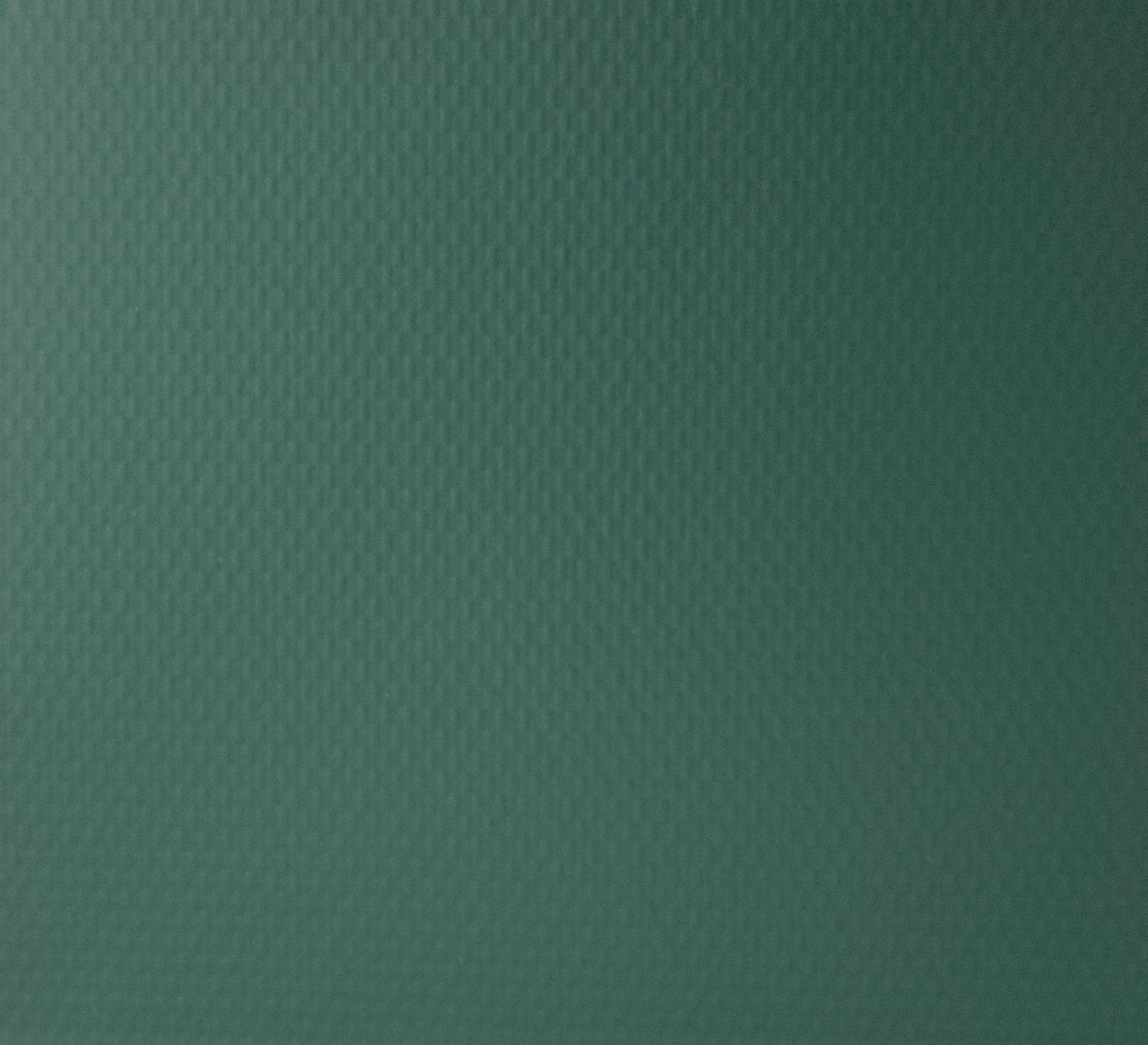 Hunter Green/White Backing EBV - Economy Basic Vinyl Blackout Roller Shades - Factory Direct Blinds