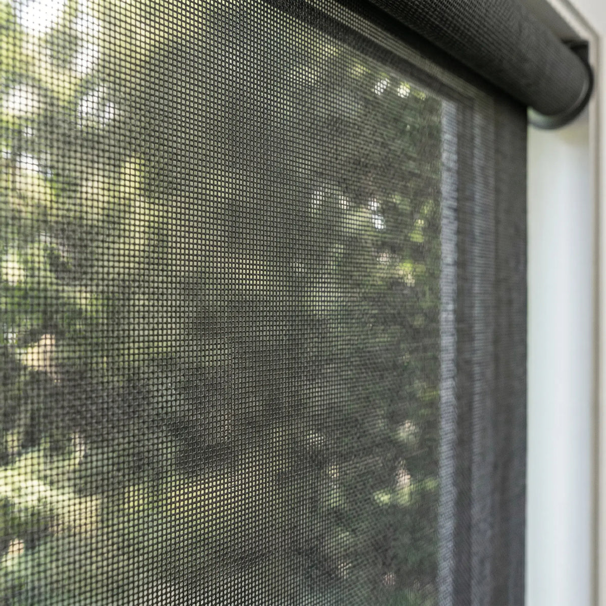 Premier 14% Solar Screen Roller Shade effortlessly filtering warm sunlight in a serene living room setting with plush furniture and subtle color palette.
