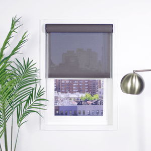 Roller Shades and Solar Shades, Parent Premier 3% Solar Screen Roller Shade