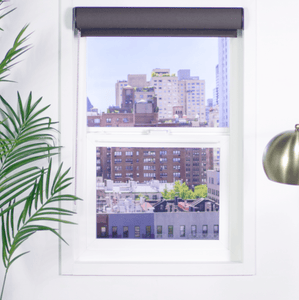 Roller Shades and Solar Shades, Parent Premier 3% Solar Screen Roller Shade