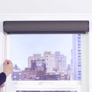 Roller Shades and Solar Shades, Parent Premier 3% Solar Screen Roller Shade