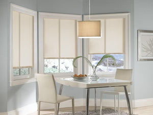 Roller Shades and Solar Shades, Parent Premier 3% Solar Screen Roller Shade