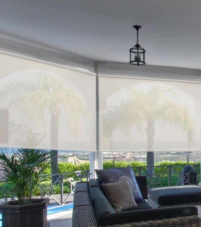 Premier 5% Solar Screen Roller Shade