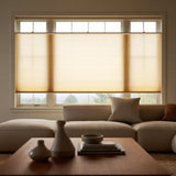 Single 3 8 Budget Single Cell Light Filtering Top Downbottom Up Shades installed in a modern living space, providing a warm ambient glow with customizable shade positioning.