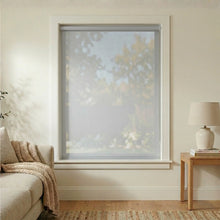 Load image into Gallery viewer, Durable Snow Grey Signature solar roller shades providing UV protection and heat reduction in a sunroom.
