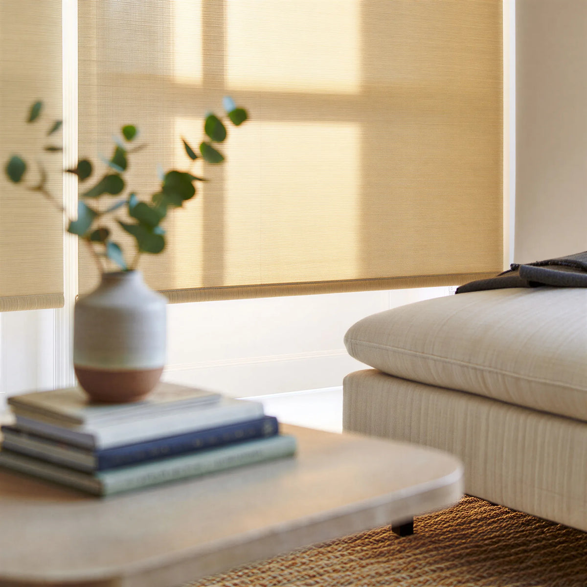 Contemporary Fabric Light Filtering Roller Shades in tan add warmth and style to this modern living space, providing a comfortable atmosphere for relaxation.