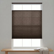 Load image into Gallery viewer, This cozy living space is enhanced by Terra Brown (Espresso) 3 8 Budget Single Cell Light Filtering Top Downbottom Up Shades, gently diffusing sunlight with flexible top-down/bottom-up control.
