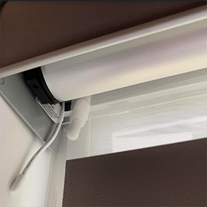 Zebra Light Filtering Roller Shades - Factory Direct Blinds