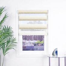Load image into Gallery viewer, Zebra Shades, Parent Zebra Light Filtering Roller Shades
