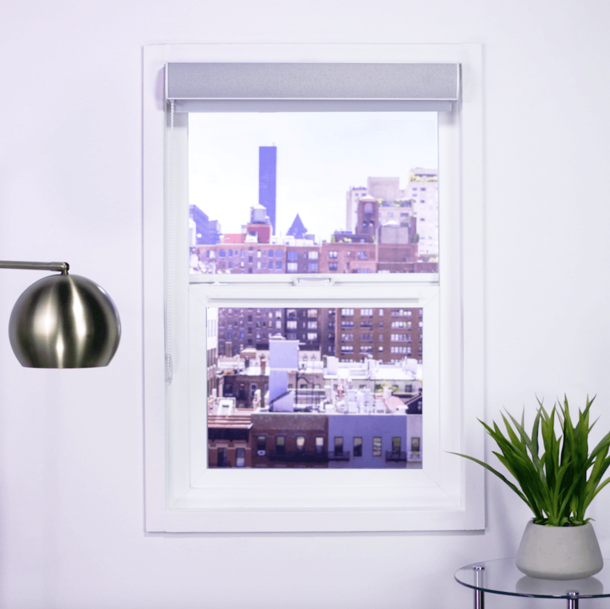 Zebra Room Darkening Roller Shades - Factory Direct Blinds